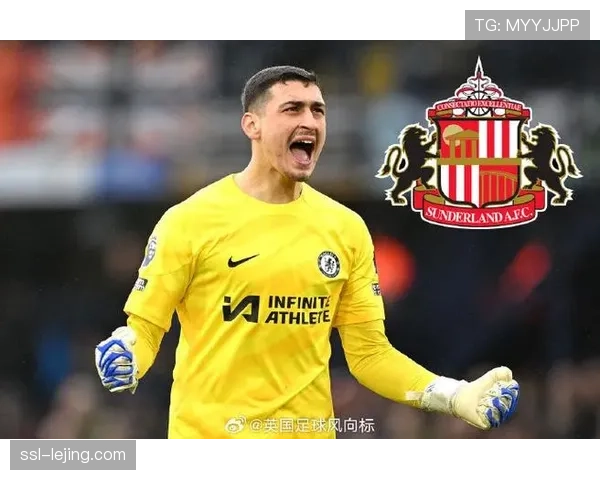 切尔西考虑6000万英镑报价桑德兰门将罗夫斯